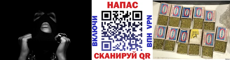 МАРИХУАНА план  Купить закладки  Абаза 
